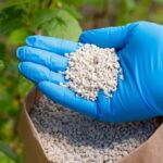 Почему внекорневые удобрения так популярны среди садоводов