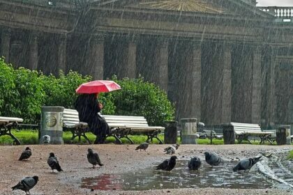 Куда сходить в плохую погоду